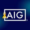 לוגו AIG